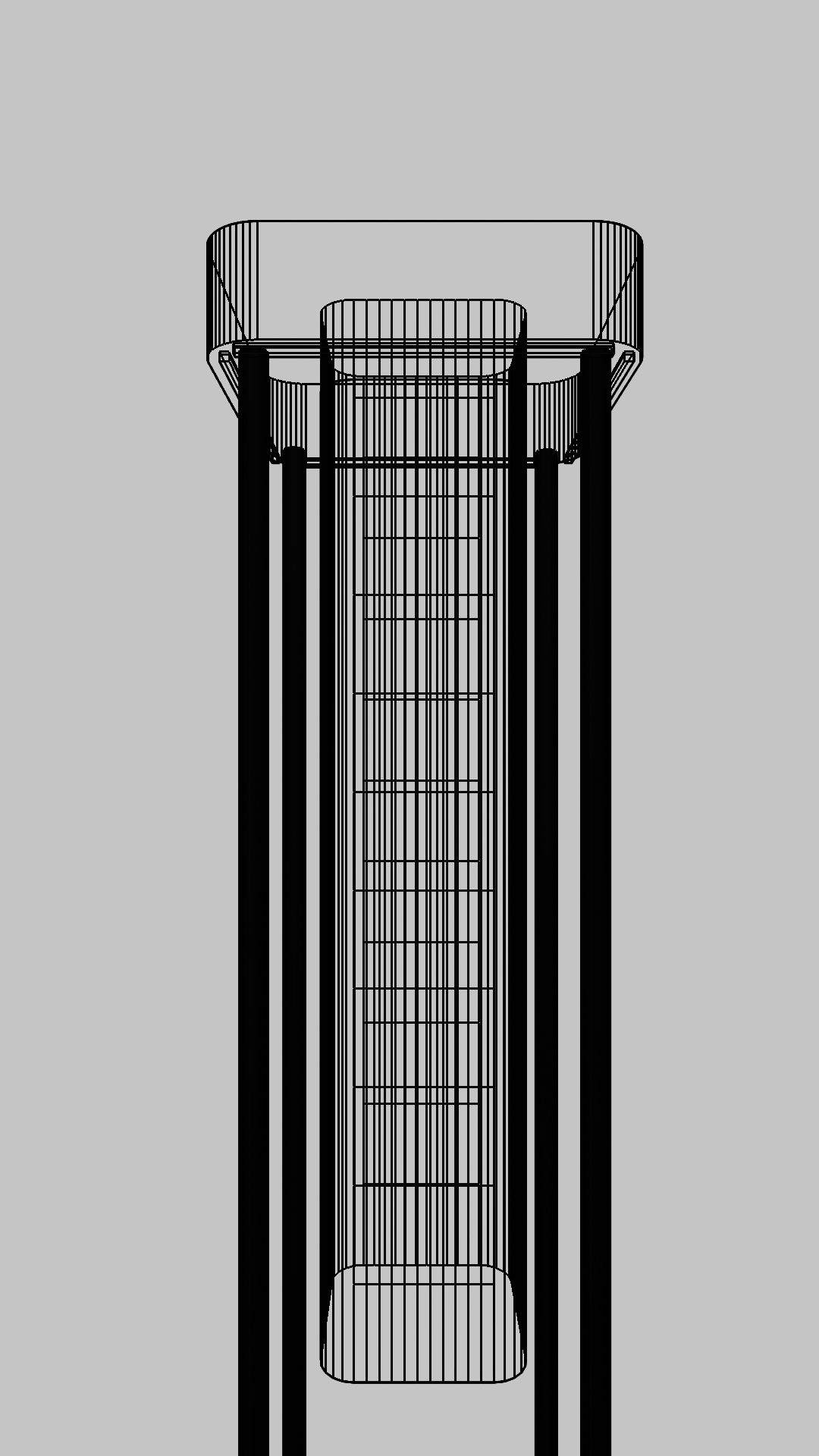Wireframe of the structure: frame, centre-pod and tank